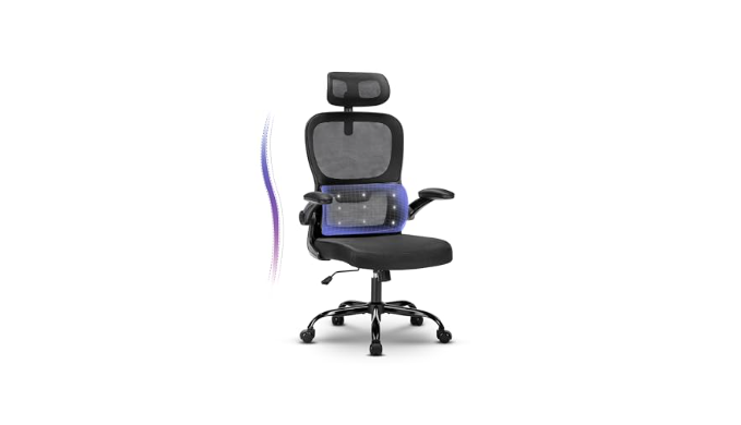 Office Chair Ergonomic Desk Chair with Adjustable Lumbar Support& Hea