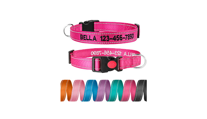 Personalized Dog Collar - Reflective Custom Embroidered with Pet Name ...